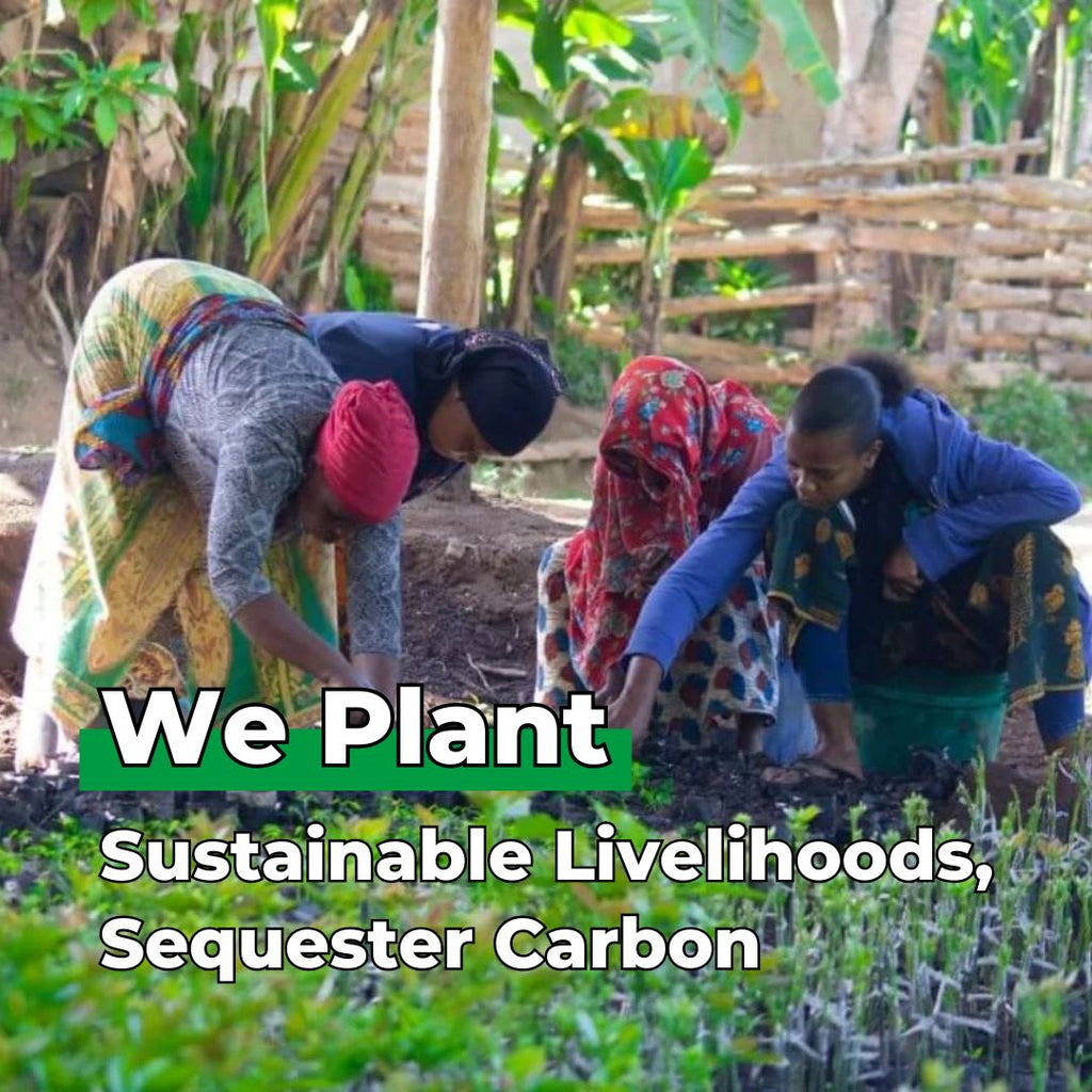 Gift Us a Forest – 200 Trees to Celebrate Our Love – “Two Hearts One Love”