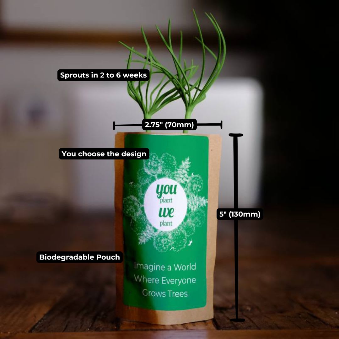Gift Us a Forest – 200 Trees to Celebrate Our Love – “Two Hearts One Love”