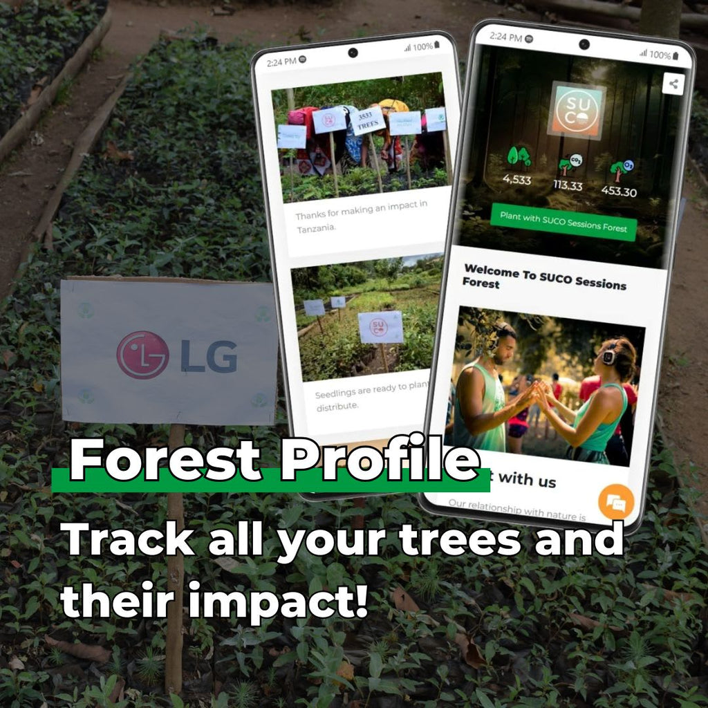 Gift Us a Forest – 200 Trees to Celebrate Our Love – “Two Hearts One Love”