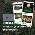 Gift Us a Forest – 200 Trees to Celebrate Our Love – “Two Hearts One Love”