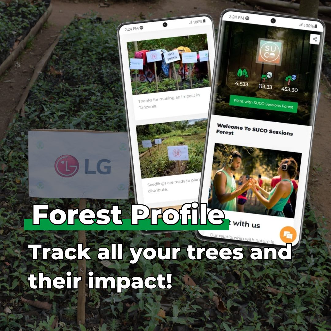 Gift Us a Forest – 200 Trees to Celebrate Our Love – “Two Hearts One Love”